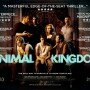 Animal-Kingdom 2010