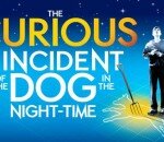 The_Curious_Incident_of_the_Dog_in_the_Night-Time_(play) (1)