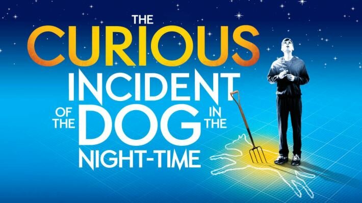 the curious incident of the dog in the nighttime cover